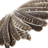 Plumes de queue de dinde naturelles en gros pour carnaval, artisanat DIY, chapeaux, bibelots, attrape-rêves, jouets pour chats, coiffes