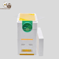 Nueva Caja de Cría de Abejas Reinas de Doble Capa de Espuma, Colmena de Cría de Abejas Reinas con Marcos Incluidos