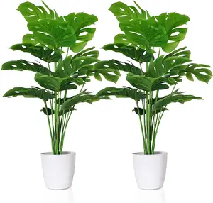 塑料盆中的2种人造Monstera Deliciosa植物，假热带棕榈树，绿叶茎