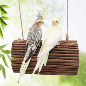 Décoration d'intérieur : Balançoire suspendue pour oiseaux, grottes d'arbre en bois de pomme naturel, corde en coton, boule en rotin, ornement pour calopsites et canaris - Product Image 3