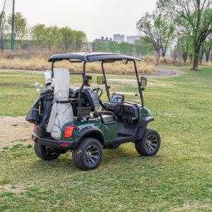 Productos Más Vendidos, Carrito de Golf Personalizable con Múltiples Configuraciones de Velocidad y Potencia para Satisfacer Diferentes Demandas - Product Image 4