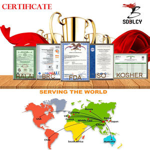 Polydextrose Sirop 70% Fibres Alimentaires Sans Sucre D-<span class=keywords><strong>glucose</strong></span> Polymère Litesse 2 - Product Image 5