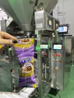 Machine de remplissage automatique multifonctionnelle CE certifiée de haute qualité et économique pour aliments soufflés (noix, etc.) avec moteur puissant