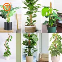 Piquet de support flexible en fibre de coco Moosstange pour plantes grimpantes, tuteur pliable en mousse pour tomates et Monstera
