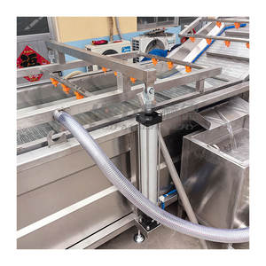 Industriële Druivenwasmachine Doorlopende Reiniging Bubbel Groentewastransportband - Product Image 2