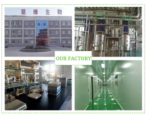 Emballage OEM Approvisionnement d'usine Poudre de thé vert 95% EGCG Épigallocatéchine gallate Extrait de thé vert - Product Image 5