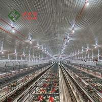 Vente Chaude : Cage à poulets de chair, Équipement avicole pour l'élevage des animaux et de la volaille / Équipement pour ferme avicole