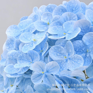 ดอกไฮเดรนเยียประดิษฐ์จาก Meiduo Flower Industry กลีบดอกฝ้าย กิ่งขนาดกลาง สำหรับตกแต่งงานแต่งงาน ตกแต่งบ้าน และจัดดอกไม้ - Product Image 2