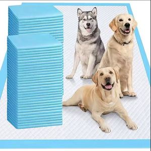 แผ่นรองซับฉี่สุนัขแบบใช้แล้วทิ้ง ขนาด 60x60 ซม. ซุปเปอร์ซึมซับ ป้องกันการรั่วซึม สำหรับสุนัขและลูกสุนัข ฝึกขับถ่าย ซับฉี่ ซับปัสสาวะ ผลิตจากโรงงาน - Product Image 3