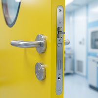 Porte en acier ignifuge, insonorisée et durable, porte en acier pour salle blanche GMP, porte en acier galvanisé pour bureau commercial, atelier