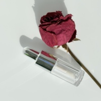 Flacon compte-gouttes de forme personnalisée unique avec couvercle sur mesure pour tube de gloss à lèvres, estampage à chaud, vente en gros en vrac