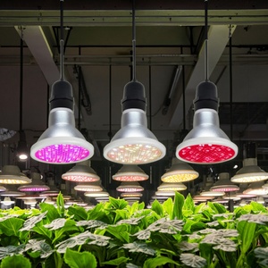 Lampe de culture LED Liweida à spectre rouge lointain 5W 660nm 730nm Epistar E26/E27/B22/Gu10 IP65 pour semis, germination et floraison - Product Image 1