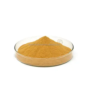 Top Quality Food Grade Oyster Extract 98% Purity Oyster Peptide Powder