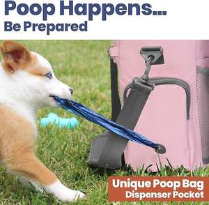 Free Sample Comfortable Durable <b>Travel</b> <b>Pet</b> Carrier <b>Bag</b> for Small Dog and Cat Breathable Mesh Soft Sided Foldable - Product Image 2