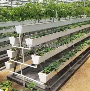 Hydroponique Fraise Plantation Gouttière Agriculture Système de tuyau <span class=keywords><strong>en</strong></span> PVC pour légumes - Product Image 4