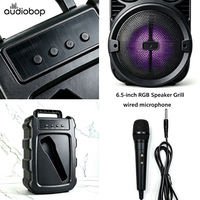 Nuevo Altavoz Inalámbrico para Fiestas de 6.5 Pulgadas con Micrófono, Karaoke para el Hogar, Emparejamiento Estéreo TWS, Listo para Enviar, Suministro del Fabricante, Gran Venta