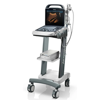 Ecógrafo Portátil Mindray DP10 Veterinario en Blanco y Negro, Sistema de Diagnóstico por Imágenes con una Sonda Microconvexa para Clínica Veterinaria y Hospital