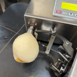 Máquina Peladora de Naranjas Automática con Control Digital para Procesamiento Comercial de Manzanas, Peras y Limones - Product Image 4