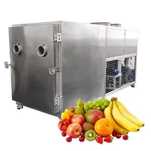 OCEAN Vacuum Freeze Dryer 45 Kg Máquina Alimento 1 Paz Abacate Café Mel Lab Liofilizador Em Filipinas