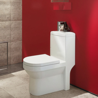 Cuvette de toilette monobloc de luxe à double chasse avec système de lavage par aspiration, design compact pour hôtels et salles de bain