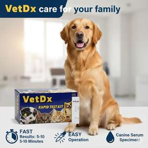 BEST VET Diagnostiktests EHR+ANA+BAB+LEPTO 4X Hunde-Parasiten-Tests - Product Image 3