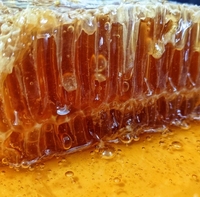 Hot Selling Natural Fresh Honeycomb 100% Bio essbare Wild honig Bulk Honeycomb in Box Verpackung