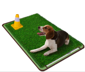 Alfombra Refrescante para Mascotas de Verano, Diseño Nuevo, Máxima Comodidad, Transpirable, de Seda de Hielo, Manta para Perros y Gatos - Product Image 2