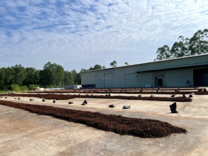 Listo para Enviar: Anís Estrellado Entero de 200g, Especia China Auténtica en Bolsa con Ventana Resellable, Entrega Rápida, MOQ Bajo, Dropshipping - Product Image 5