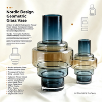Vase en verre transparent de style nordique, dégradé ambre, pour fleurs hydroponiques, décoration d'intérieur, forme géométrique, série spirale
