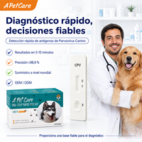 Kit de test de diagnostic rapide de l'antigène du parvovirus canin CPV pour chiens, échantillon fécal, utilisation clinique, certifié CE