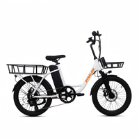 Vélo cargo électrique non pliable à deux roues, 20 pouces, 36V, 250W, double moteur sans balais, pour livraison de nourriture