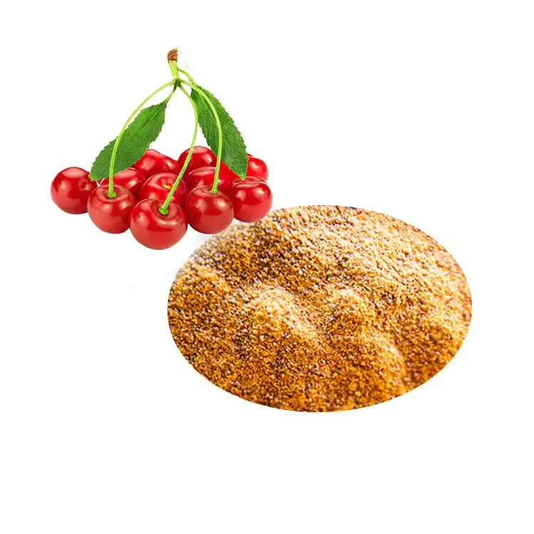 Gevriesdroogde <span class=keywords><strong>Acerola</strong></span> Cherry <span class=keywords><strong>Poeder</strong></span> 100% Pure Organic Food Grade 17% 25% Vitamine C <span class=keywords><strong>Acerola</strong></span> Cherry Extract <span class=keywords><strong>Poeder</strong></span>