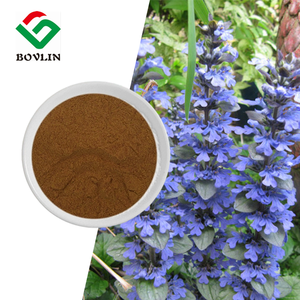 Ekstrak Ajuga Turkestanica  Laris Manis Grosir Ekstrak Turkesterone Alami Murni Bubuk Suplemen Kapsul 2% 10% 20% 40% - Product Image 3