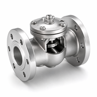 Vanne anti-retour à battant H44W CF8 Classe 150 NPT BSP pour l'industrie pétrolière et gazière, vanne de pipeline industrielle pour l'huile et le gaz