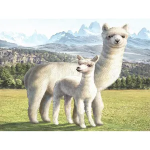 alpaca rumah Suppliers-Indah Alpacas 5d Berlian Berkualitas Tinggi Lukisan Seni Dinding untuk Dekorasi Kamar Plateau Hewan Diamond Bordir Penuh Bor