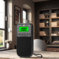 Anpassbare W-203 Radio/Ein-Klick-Schalter Verdoppeln Sie die Aufregung/AM/FM/SW-Radios sind heiß verkauft.