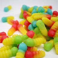 Vente en Gros Diverses Formes Chewy Halal Saveurs de Fruits Serpent Lapin Grenouille Bonbons Gommeux