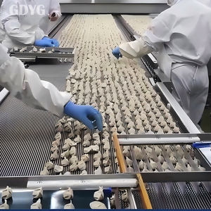 Ravioli Congelati Tradizionali Cinesi OEM, Alimenti <span class=keywords><strong>Surgelati</strong></span> Pronti da Riscaldare per Catering, Vendita all'Ingrosso in Confezioni - Product Image 3