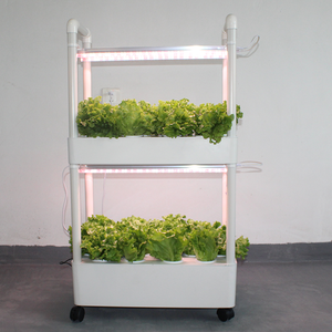 Estante Vertical para Cultivo Hidropónico, Sistema Aeropónico para Vegetales, Cultivo de Microgreens, Tomates y Pimientos en Balcón - Product Image 6