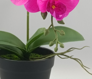 <span class=keywords><strong>Plante</strong></span> d'orchidée artificielle <span class=keywords><strong>en</strong></span> <span class=keywords><strong>pot</strong></span> de haute qualité, prix de gros imbattable, pour la décoration intérieure, mariages, remises de diplômes, Nouvel An - Product Image 6