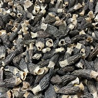 Morilles de qualité supérieure à prix préférentiel, morilles cultivées, morilles séchées biologiques