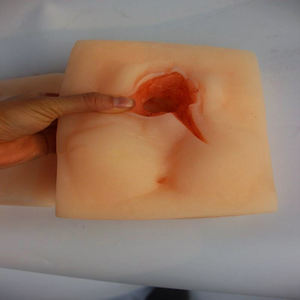 Model Latihan Jahitan Vulva Tingkat Lanjut Model Praktik Penjahitan <span class=keywords><strong>Vagina</strong></span> - Product Image 4