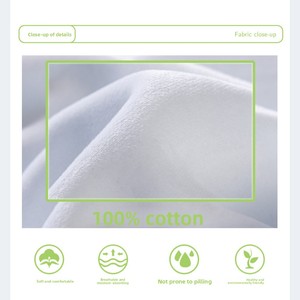Felpa giovanile XL in cotone pesante 450g con <span class=keywords><strong>cappuccio</strong></span> in velluto volpe argentata fodera in pile antirughe modello 3D con <span class=keywords><strong>cappuccio</strong></span> - Product Image 2