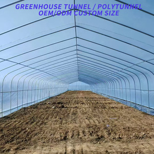 Serres agricoles et horticoles à simple travée, structure complète avec couverture en film PE - Product Image 5
