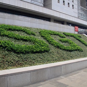 Sistema Ecológico de Pared Verde Hecho con Jardinera Vertical - Product Image 5