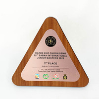Plaques de récompense personnalisées en or, argent, bronze, aluminium, triangle, bois, MH-LJ0930