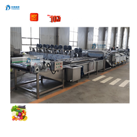 Complete Automatische Bevroren Verwerkingsmachines Voor Fruit En Groenten Desinfecterende Fruittrymachine