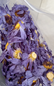 Fiori <span class=keywords><strong>di</strong></span> <span class=keywords><strong>Loto</strong></span> Blu Essiccati e Puliti, Ninfea Blu Egiziana Intera per Tè Quotidiano - Product Image 3
