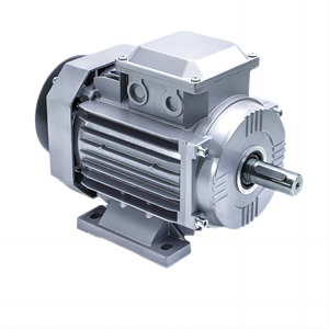 มอเตอร์ไฟฟ้าสำหรับการเกษตรแบบสามเฟสเดี่ยว 1 แรงม้า/1.5 แรงม้า/2 แรงม้า/3 แรงม้า/4 แรงม้า/5.5 แรงม้า กระแสสลับ 220 โวลต์/50 เฮิรตซ์ ทองแดง 100% มาตรฐาน IE 2 สีเขียว มอเตอร์ซิงโครนัส - Product Image 6