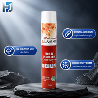 Mousse polyuréthane ignifuge PU en spray, isolation thermique et phonique, mousse expansive, mastic de remplissage pour les espaces entre les murs, construction